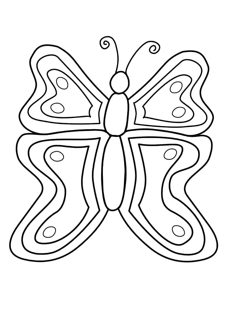   бабочка с усиками