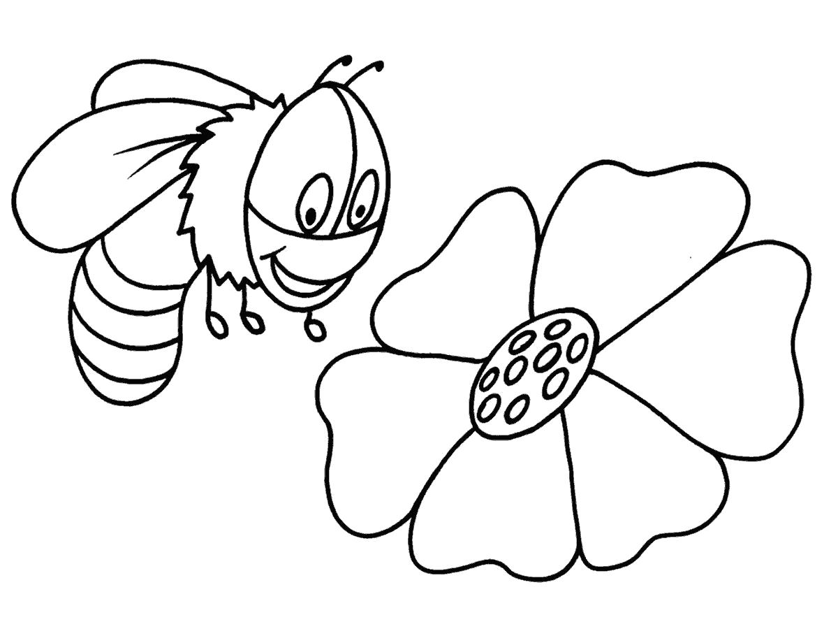   пчела рада цветку