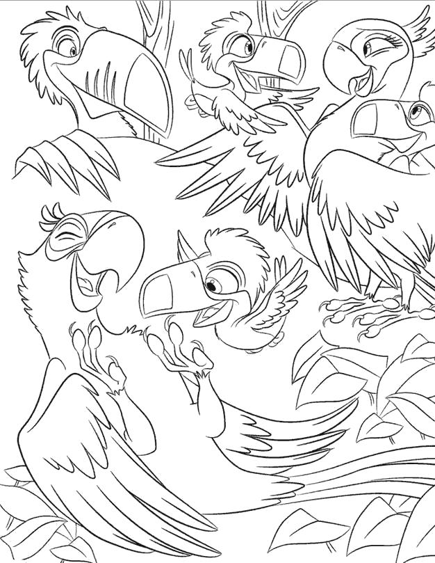 Раскраска попугай  мультфильм Рио, производство Blue Sky Studios, попугай
