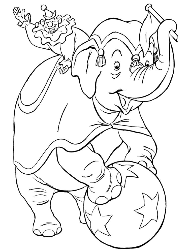   Раскраска слон в цирке