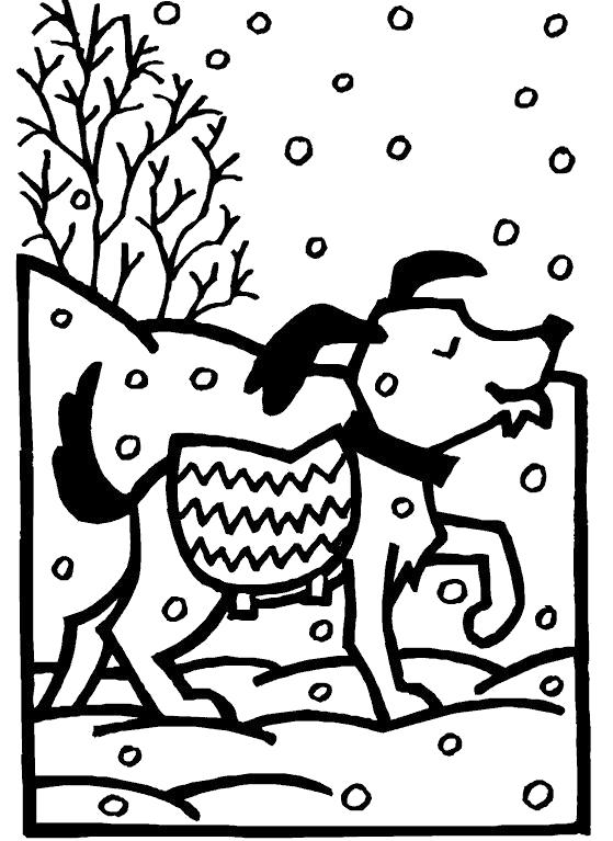   Собака гуляет зимой