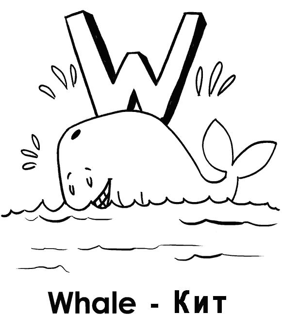 кит  учим английский Whale кит