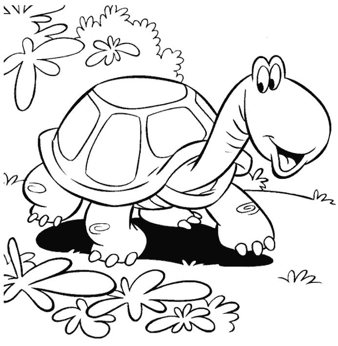 Раскраски черепаха  черепаха разглядывает траву