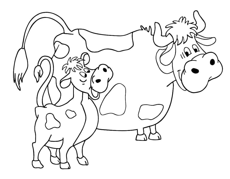 Раскраски домашняя корова  Раскраска корова, корова и гаврюша