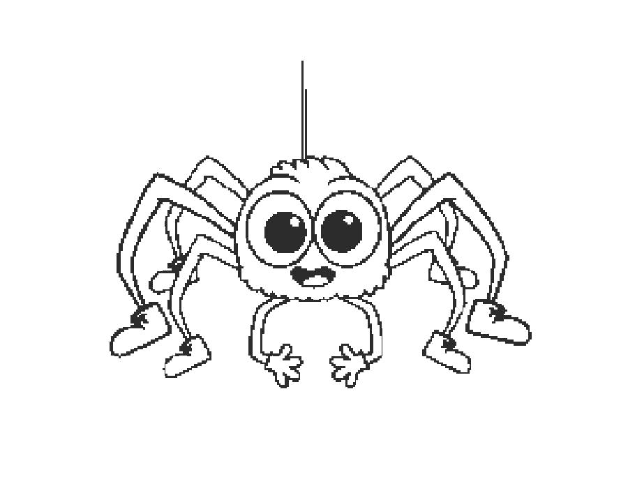   Раскраска паук на паутине