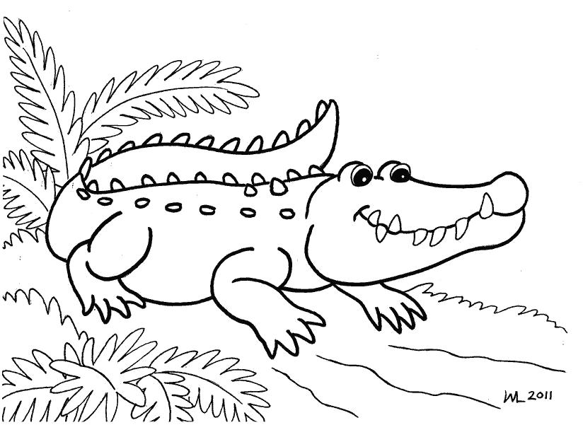   раскраски крокодил 