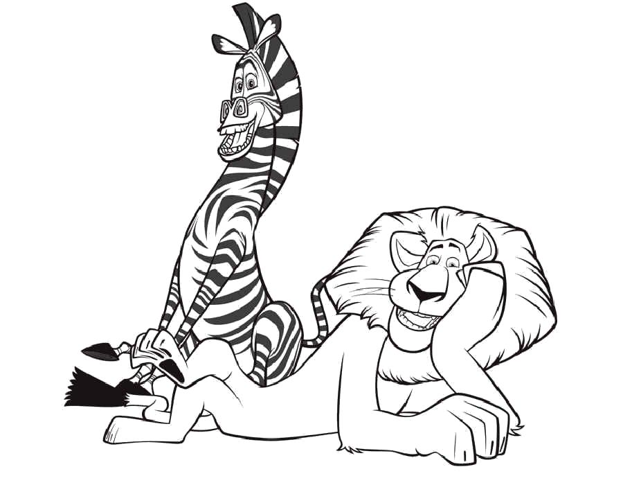 Раскраски зебры  зебра и лев
