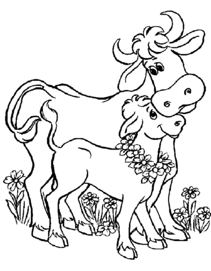Раскраски домашняя корова  Раскраска корова с буренком