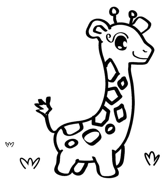 Раскраски жираф  маленький Жирафик