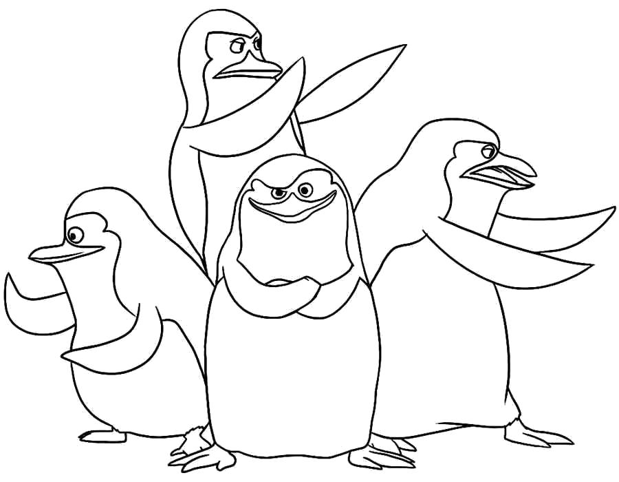 Раскраска с пингвинами  Команда пингвинов