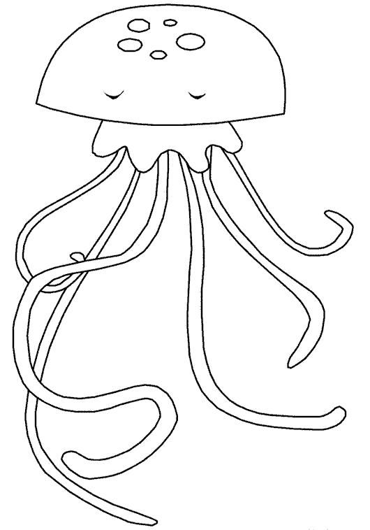   большая медуза