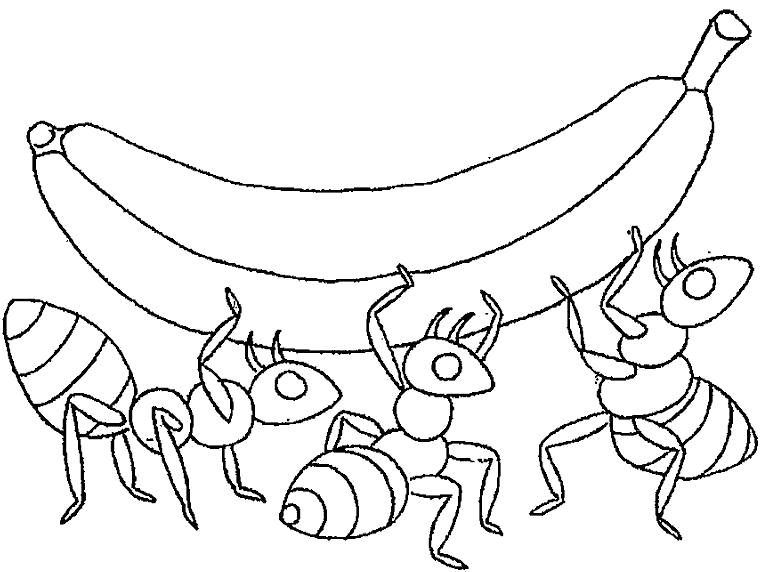   сильные муравьи несут банан поднимают тяжесть
