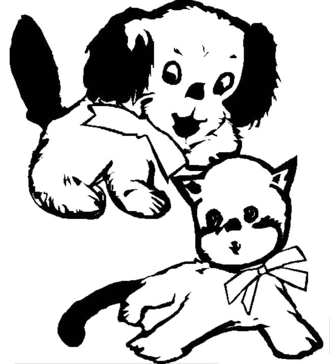  Котёнок и щенок