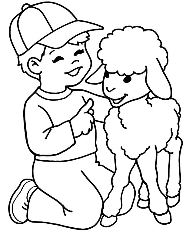 Раскраски овечки, бараны, ягнята  Мальчик с овечкой