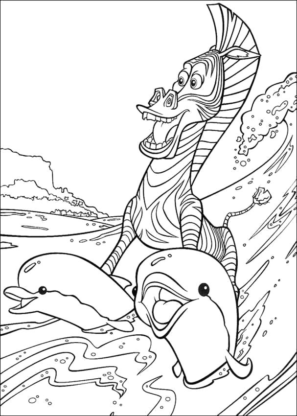   Мультфильм Мадагаскар, зебра, дельфины, Зебра Марти катается на дельфинах