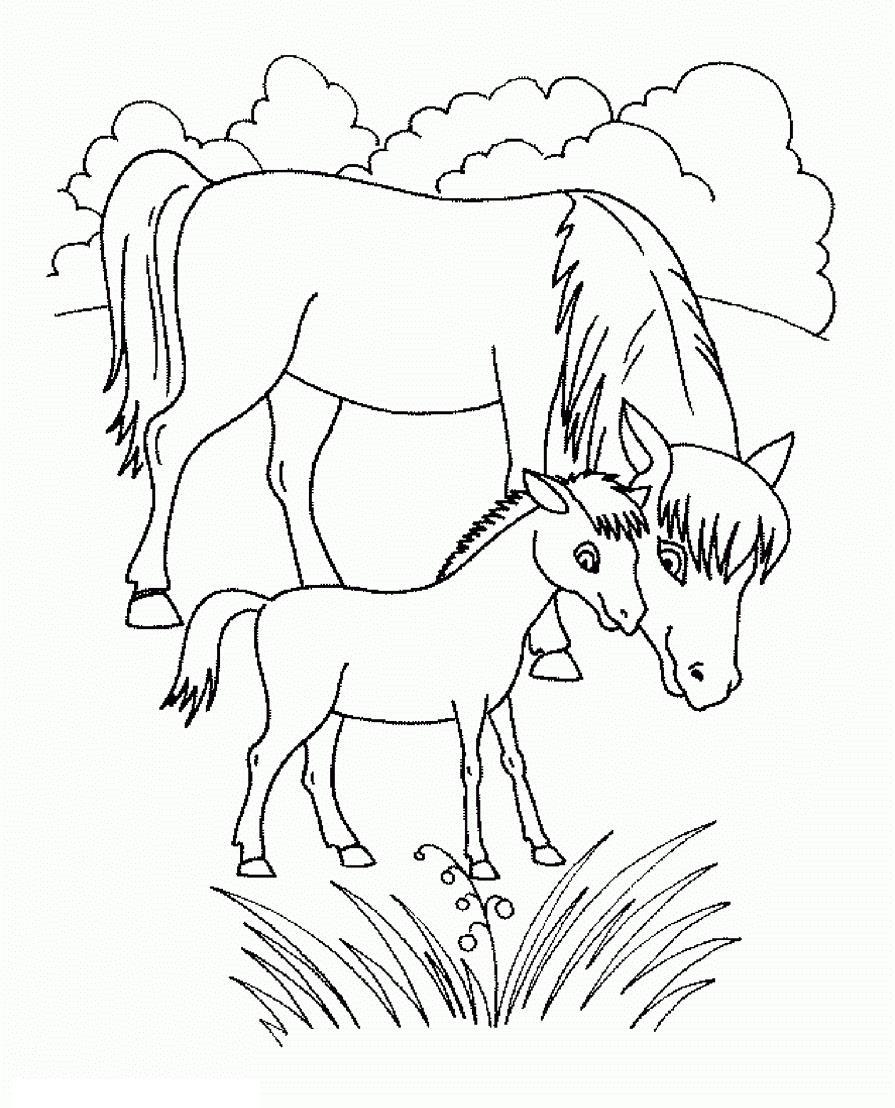   Лошадь с жеребенком
