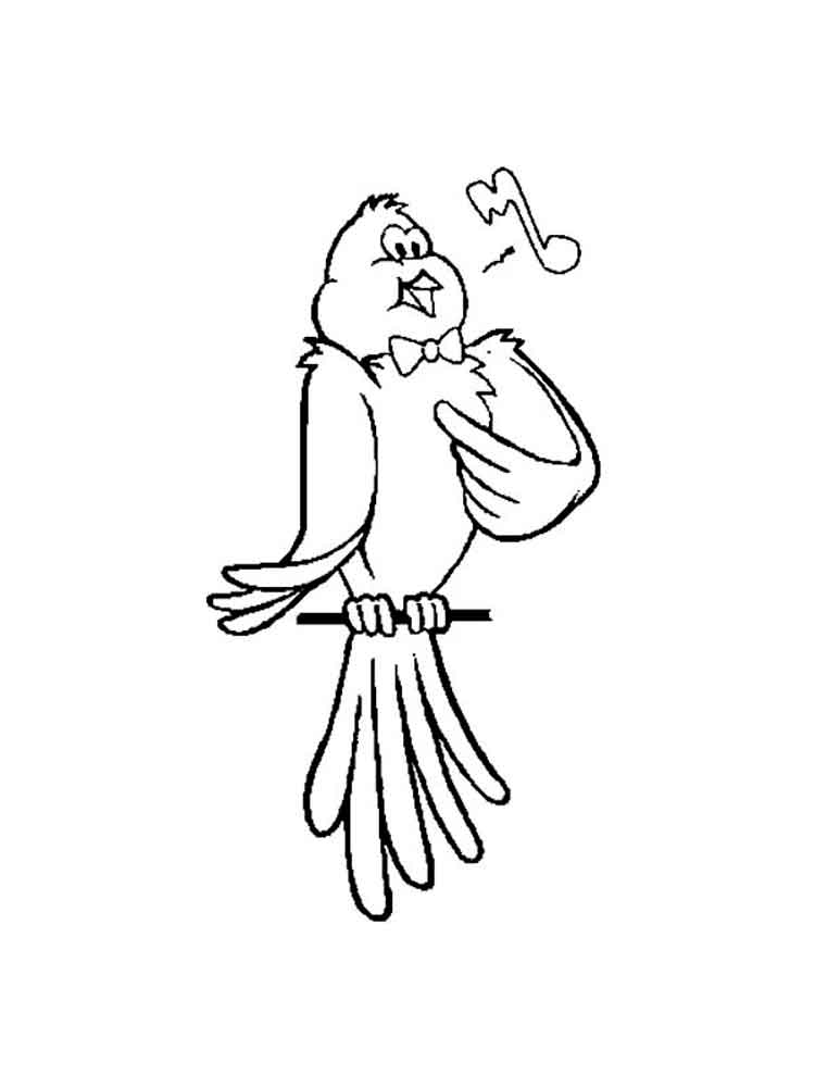   Раскраски домашняя птица канарейка