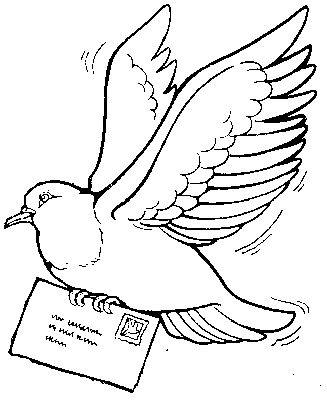   Почтовый голубь с письмом