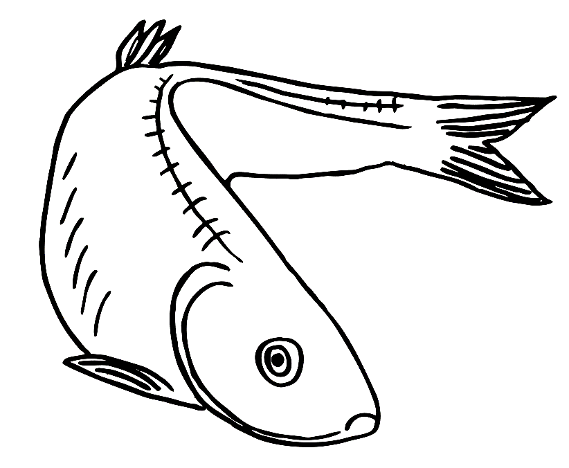 лосос  Раскраски с рыбой лосось
